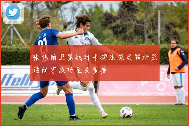 张伟丽卫冕战对手摔法深度解析笼边防守技巧至关重要