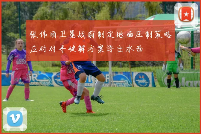 张伟丽卫冕战前制定地面压制策略应对对手破解方案浮出水面